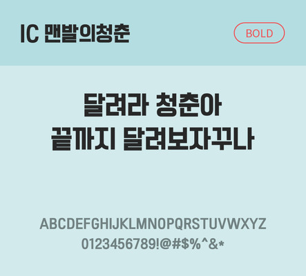 한글 사람없음 OTF TTF 볼드체 국문폰트 낱개폰트 설치폰트 베이직서체 맨발의청춘체 문자 폰트 파일형식 IC폰트