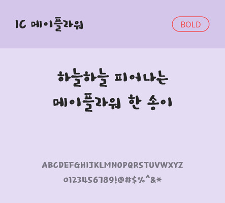 손글씨 한글 사람없음 OTF TTF 볼드체 국문폰트 낱개폰트 설치폰트 메이플라워체 문자 폰트 파일형식 IC폰트