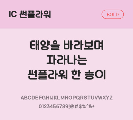 한글 사람없음 OTF TTF 볼드체 국문폰트 낱개폰트 설치폰트 디자인서체 썬플라워체 문자 폰트 파일형식 IC폰트