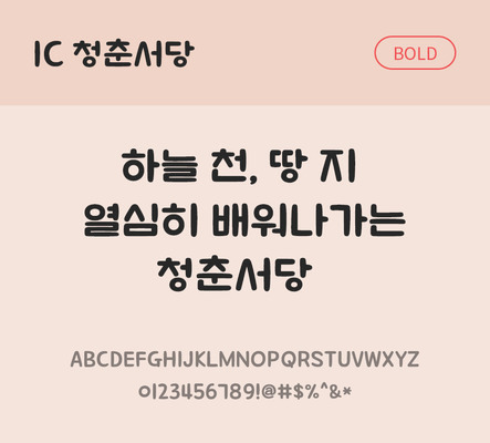 한글 사람없음 OTF TTF 볼드체 국문폰트 낱개폰트 설치폰트 디자인서체 청춘서당체 문자 폰트 파일형식 IC폰트