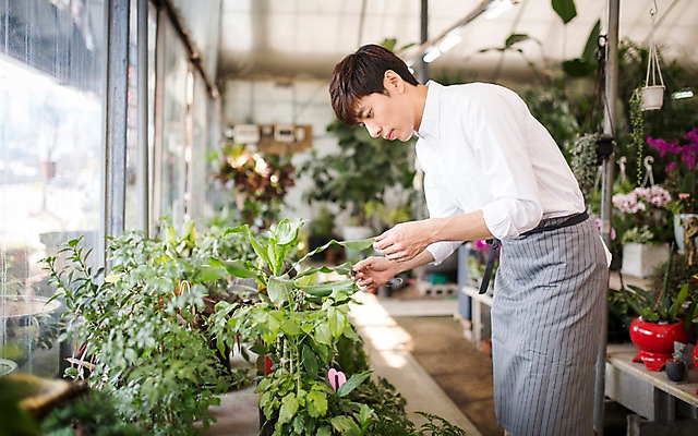 포토 JPG 식물 남자 화분 한명 20대 성인 한국인 꽃집 취업준비생 아르바이트 성인남자한명만 비정규직 국내포토 1 비즈니스 사람 동양인 청년 상점 구직 남자한명만 성인남자만 파일형식