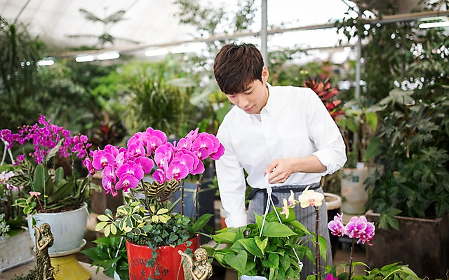 포토 JPG 식물 남자 꽃 화분 실내 한명 20대 성인 한국인 꽃집 취업준비생 아르바이트 성인남자한명만 비정규직 국내포토 1 비즈니스 사람 동양인 청년 내부 상점 구직 남자한명만 성인남자만 파일형식