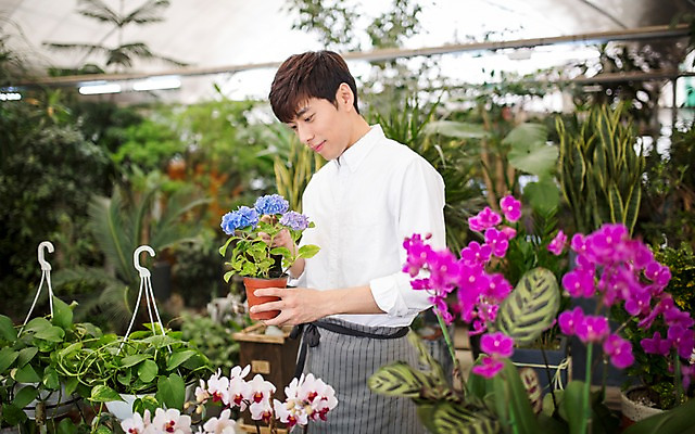 포토 JPG 식물 남자 꽃 화분 실내 한명 20대 성인 한국인 꽃집 취업준비생 아르바이트 성인남자한명만 비정규직 국내포토 1 비즈니스 사람 동양인 청년 내부 상점 구직 남자한명만 성인남자만 파일형식