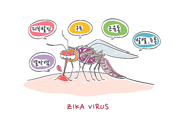 말풍선 일러스트 사람없음 건강관리 피부 모기 증상 지카바이러스 국내일러스트 AI파일 건강 관리 신체부위 바이러스 해충 파일형식 벡터