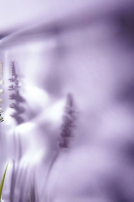 포토 JPG 컬러 백그라운드 조명 그림자 사람없음 빛 공백 투명 국내포토 파일형식