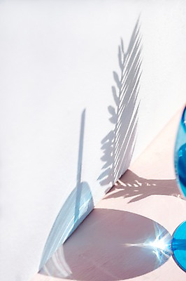 포토 JPG 컬러 백그라운드 나뭇잎 조명 잔 그림자 사람없음 빛 공백 투명 국내포토 식기 잎 파일형식