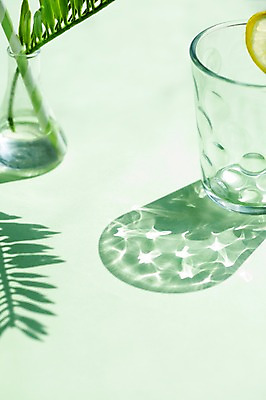 포토 JPG 컬러 백그라운드 나뭇잎 조명 잔 그림자 사람없음 빛 공백 투명 국내포토 식기 잎 파일형식