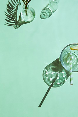 포토 JPG 컬러 백그라운드 나뭇잎 조명 잔 그림자 사람없음 빛 공백 투명 국내포토 식기 잎 파일형식