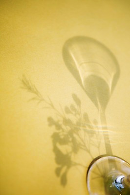 포토 JPG 컬러 백그라운드 조명 그림자 사람없음 빛 공백 투명 샴페인잔 국내포토 술잔 파일형식