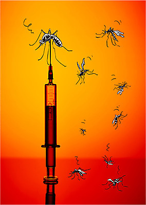 편집이미지 주사기 사람없음 약 모기 퇴치 지카바이러스 이미지편집 AI파일 컨셉 의학 의료기기 바이러스 해충 파일형식 벡터