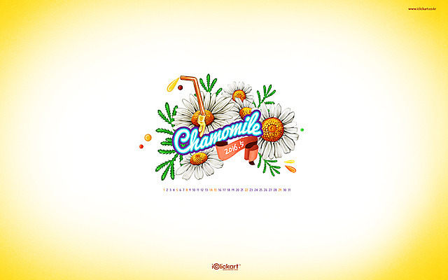 JPG 월페이퍼 바탕화면 5월 날짜 파일형식