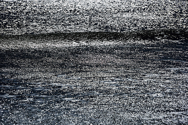 포토 JPG 주간 바다 백그라운드 자연 풍경 사람없음 야외 국내포토 자연요소 생태계 파일형식