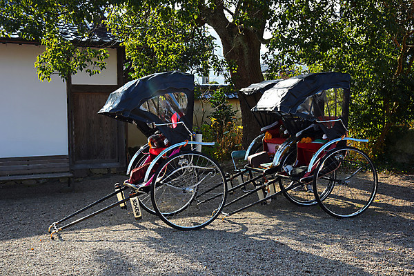 포토 JPG 주간 나무 해외풍경 육상교통 교통수단 사람없음 야외 일본 일본전통 인력거 국내포토 자연요소 식물 전통 해외 아시아 교통 풍경 파일형식