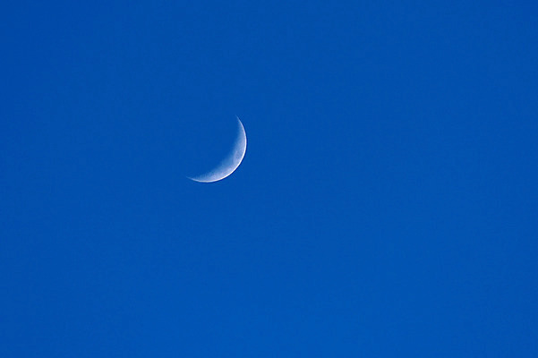 포토 JPG 백그라운드 자연 하늘 풍경 사람없음 야외 야간 초승달 국내포토 자연요소 달 생태계 파일형식