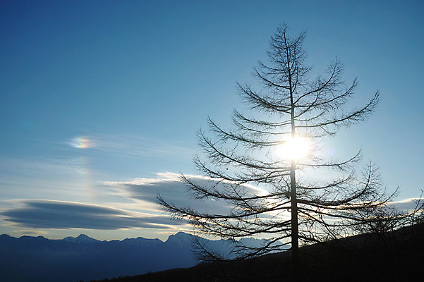포토 JPG 주간 나무 구름 실루엣 자연 하늘 산 풍경 사람없음 야외 햇빛 국내포토 자연요소 식물 촬영기법 태양 생태계 파일형식