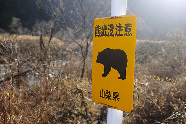 포토 JPG 주간 해외풍경 야생동물 곰 사람없음 야외 일본 한자 표지판 야생동물보호 국내포토 자연요소 동물 문자 해외 아시아 포유류 알림판 풍경 파일형식