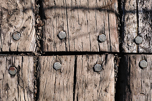 포토 JPG 주간 나무 백그라운드 사람없음 야외 목재 나뭇결 나사못 국내포토 자연요소 식물 재료 못 파일형식