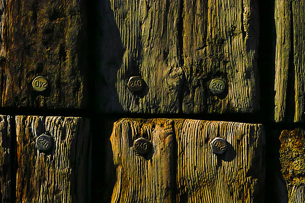 포토 JPG 나무 백그라운드 사람없음 목재 나뭇결 나사못 국내포토 식물 재료 못 파일형식