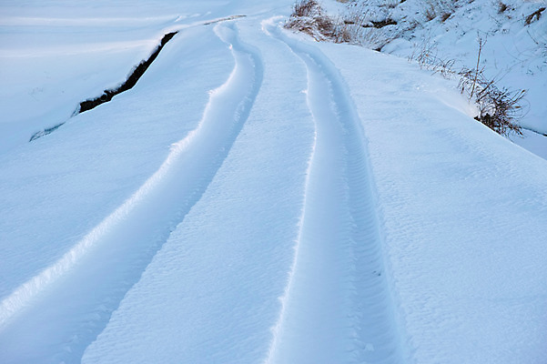 포토 JPG 주간 백그라운드 겨울 자연 풍경 사람없음 야외 설원 눈 바퀴자국 겨울풍경 국내포토 자연요소 계절 자국 날씨 눈_날씨 생태계 파일형식