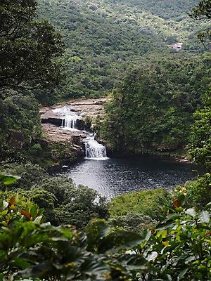 포토 JPG 주간 나무 자연 풍경 사람없음 야외 계곡 흐름 숲 국내포토 자연요소 식물 컨셉 생태계 파일형식