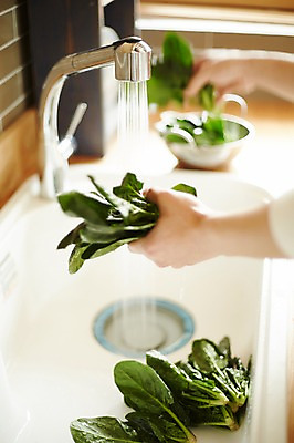 포토 JPG 라이프스타일 손 남자 맨라이프 채소 실내 한명 들기 20대 성인 신체부위 주방 한국인 씻기 싱크대 신혼집 성인남자한명만 국내포토 1 모션 사람 동양인 청년 내부 생활 청결 개수대 남자한명만 성인남자만 파일형식