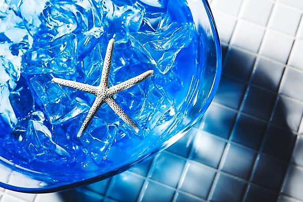 포토 JPG 불가사리 사람없음 여름 얼음 타일 국내포토 자연요소 계절 극피동물 파일형식