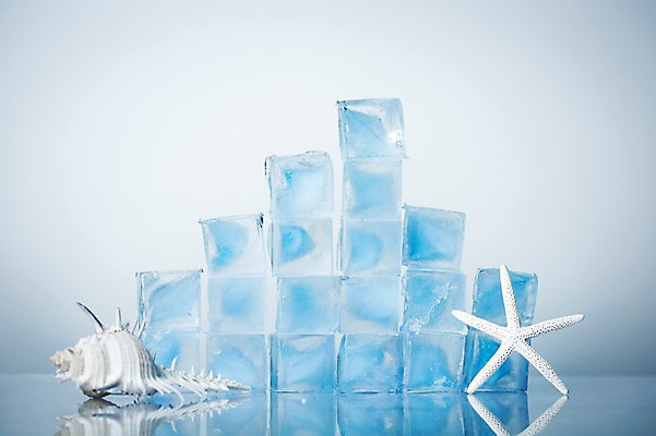 포토 JPG 백그라운드 불가사리 사람없음 여름 여름휴가 바캉스 쌓기 얼음 소라 국내포토 자연요소 계절 모션 휴가 어패류 극피동물 파일형식 여름_계절