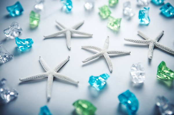 포토 JPG 백그라운드 불가사리 사람없음 아웃포커스 여름 여름휴가 바캉스 여행용품 국내포토 계절 여행 휴가 극피동물 촬영기법 오브젝트 파일형식 여름_계절