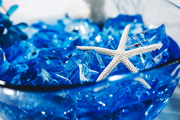 포토 JPG 백그라운드 불가사리 실내 사람없음 여름 파란색 얼음 시원함 얼음물 클래식블루 트렌드컬러 국내포토 자연요소 계절 컬러 극피동물 내부 물 파일형식 트랜드컬러