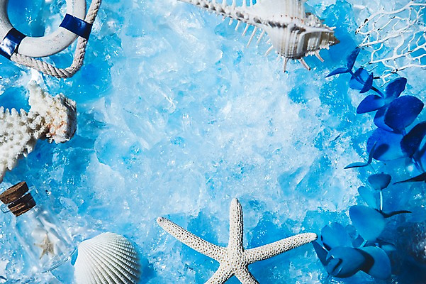 포토 JPG 백그라운드 조개 유리병 불가사리 프레임 사람없음 여름 파란색 얼음 소라 시원함 국내포토 자연요소 계절 컬러 병_용기 어패류 극피동물 파일형식