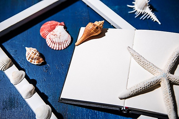 포토 JPG 백그라운드 조개 불가사리 프레임 사람없음 책 여름 여름휴가 바캉스 소라 여행용품 국내포토 계절 여행 휴가 어패류 극피동물 오브젝트 파일형식 여름_계절