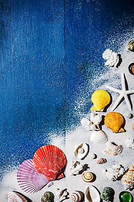 포토 JPG 스튜디오촬영 모래 백그라운드 조개 불가사리 프레임 실내 사람없음 여름 파란색 여름휴가 바캉스 소라 여행용품 진주 클래식블루 트렌드컬러 국내포토 계절 컬러 여행 휴가 어패류 극피동물 내부 보석 오브젝트 파일형식 트랜드컬러 여름_계절