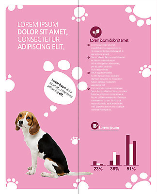 PSD 템플릿 편집 한마리 표지디자인 북디자인 출판디자인 내지 리플렛 2단접지 북커버 그래프 팜플렛 사람없음 퍼센트 비글 개발자국 반려 이미지템플릿 1 특수기호 개 발자국 파일형식