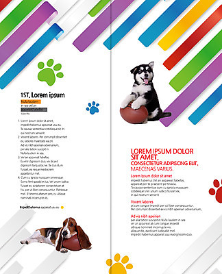 PSD 템플릿 편집 표지디자인 북디자인 출판디자인 내지 리플렛 두마리 2단접지 북커버 팜플렛 사람없음 럭비공 바셋하운드 알래스칸말라뮤트 개발자국 반려 이미지템플릿 2 공 개 발자국 하운드 럭비용품 파일형식