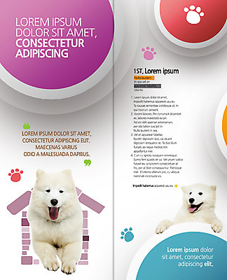 PSD 템플릿 편집 표지디자인 북디자인 출판디자인 내지 리플렛 두마리 2단접지 북커버 팜플렛 사람없음 개 개집 사모예드 개발자국 반려 이미지템플릿 2 포유류 발자국 애견용품 파일형식