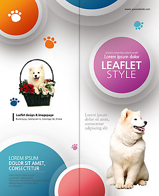 PSD 템플릿 편집 표지디자인 북디자인 출판디자인 표지 리플렛 두마리 2단접지 북커버 팜플렛 사람없음 개 꽃바구니 사모예드 개발자국 반려 이미지템플릿 꽃 2 포유류 바구니 발자국 파일형식