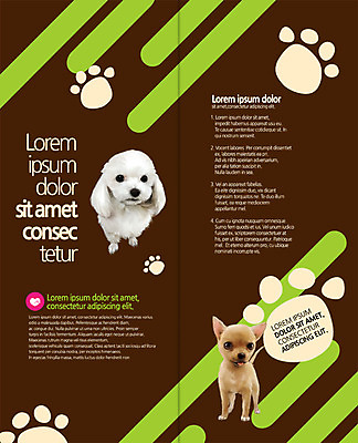 PSD 템플릿 편집 표지디자인 북디자인 출판디자인 내지 리플렛 두마리 2단접지 북커버 팜플렛 사람없음 말티즈 개 개발자국 반려 이미지템플릿 2 포유류 발자국 파일형식