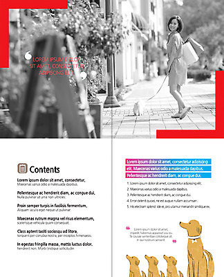 전신 PSD 템플릿 편집 표지디자인 북디자인 출판디자인 여자 내지 리플렛 2단접지 북커버 여러마리 한명 서기 웃음 팜플렛 성인 30대 쇼핑백 산책 한국인 개 목줄 반려 이미지템플릿 1 다수 가방 포유류 모션 휴식 표정 사람 동양인 장년 파일형식 반려용품