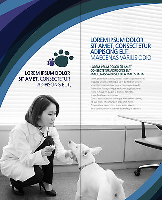 전신 PSD 템플릿 편집 한마리 표지디자인 북디자인 출판디자인 여자 내지 리플렛 2단접지 북커버 청진기 한명 앉기 팜플렛 성인 30대 한국인 개 동물병원 수의사 개발자국 반려 이미지템플릿 1 포유류 의료기기 모션 병원 사람 동양인 장년 의사 발자국 파일형식