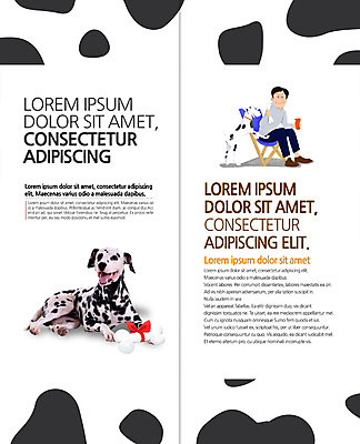 전신 PSD 템플릿 편집 표지디자인 북디자인 출판디자인 남자 내지 리플렛 두마리 2단접지 북커버 의자 한명 앉기 팜플렛 성인 개 개뼈다귀 달마시안 반려 점박이 이미지템플릿 1 가구 2 포유류 모션 사람 애견간식 파일형식