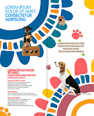 PSD 템플릿 편집 표지디자인 북디자인 출판디자인 내지 새끼 리플렛 2단접지 북커버 벽돌 세마리 팜플렛 사람없음 강아지 비글 미니어처핀셔 개발자국 반려 이미지템플릿 동물 3 반려동물 개 발자국 파일형식 핀셔