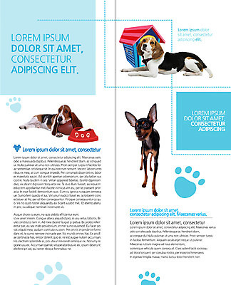 PSD 템플릿 편집 표지디자인 북디자인 출판디자인 내지 리플렛 2단접지 북커버 세마리 팜플렛 사람없음 강아지 비글 바셋하운드 개집 미니어처핀셔 개발자국 개밥그릇 반려 이미지템플릿 그릇 3 반려동물 개 발자국 하운드 애견용품 파일형식 핀셔