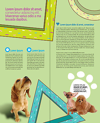 PSD 템플릿 편집 표지디자인 북디자인 출판디자인 내지 리플렛 2단접지 북커버 세마리 팜플렛 사람없음 올려보기 푸들 치와와 반려 이미지템플릿 모션 3 개 파일형식