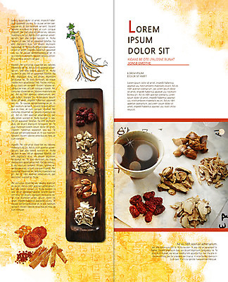 PSD 템플릿 편집 그릇 접시 표지디자인 북디자인 출판디자인 내지 음식 리플렛 2단접지 북커버 팜플렛 사람없음 한의학 약재 인삼 한약 대추 이미지템플릿 식기 의학 약 삼 파일형식