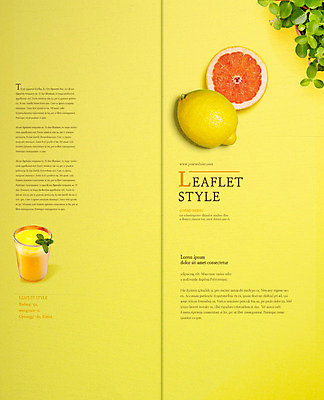 PSD 템플릿 편집 표지디자인 북디자인 출판디자인 표지 화분 음식 리플렛 2단접지 북커버 오렌지 단면 팜플렛 사람없음 컵 주스 레몬 허브 트로피컬아트 이미지템플릿 식물 식기 음료 과일 그림 파일형식