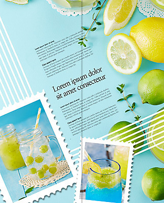 PSD 템플릿 편집 표지디자인 북디자인 출판디자인 내지 음료 음식 리플렛 2단접지 북커버 여름음식 빨대 팜플렛 사람없음 컵 얼음 레몬 레모네이드 라임 트로피컬아트 이미지템플릿 레이스천 자연요소 식기 과일 직물 그림 에이드 파일형식 여름_계절