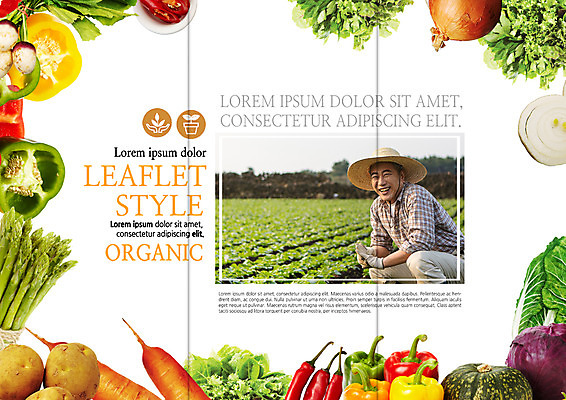 PSD 템플릿 편집 표지디자인 북디자인 출판디자인 남자 내지 음식 리플렛 밭 북커버 3단접지 고추 호박 양파 단면 피망 감자 한명 웃음 앉기 팜플렛 성인 농사 당근 한국인 60대 농부 배추 유기농 밀짚모자 양배추 아스파라거스 이미지템플릿 직업 모자_잡화 1 웰빙 노년 농업 채소 모션 뿌리채소 표정 사람 동양인 파일형식