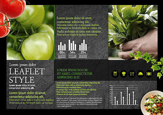 PSD 템플릿 편집 접시 표지디자인 북디자인 손 출판디자인 열매 화살표 내지 음식 리플렛 토마토 북커버 3단접지 그래프 팜플렛 샐러드 유기농 아이비 이미지템플릿 식물 식기 웰빙 채소 신체부위 파일형식