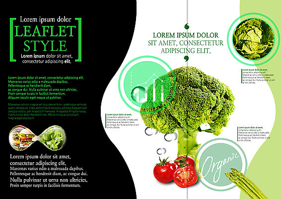 PSD 템플릿 편집 표지디자인 북디자인 출판디자인 내지 음식 리플렛 북커버 식재료 3단접지 방울토마토 단면 그래프 팜플렛 사람없음 물방울 브로콜리 배추 유기농 아스파라거스 이미지템플릿 웰빙 토마토 채소 파일형식