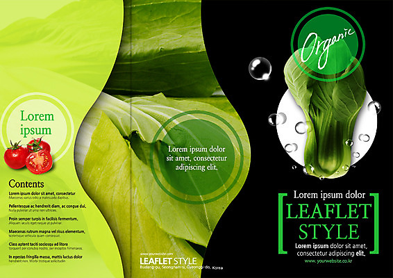 PSD 템플릿 편집 표지디자인 북디자인 출판디자인 표지 음식 리플렛 북커버 식재료 3단접지 방울토마토 단면 팜플렛 사람없음 물방울 유기농 청경채 이미지템플릿 웰빙 토마토 채소 파일형식